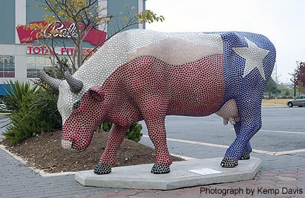 Texas Alamoo